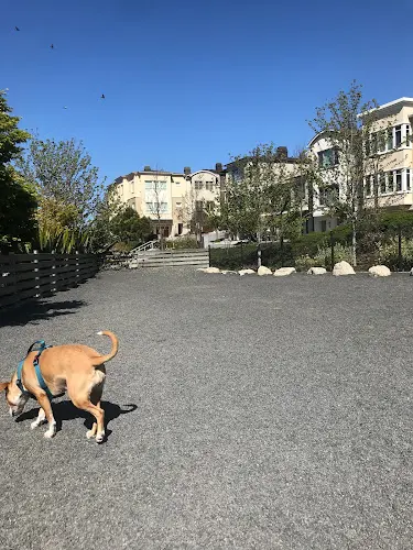 Dog Park Brotherhood Mini Dog Park Vallejo
