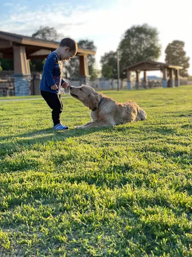 Dog day care center PAWSitively Balanced Dog Training Corona