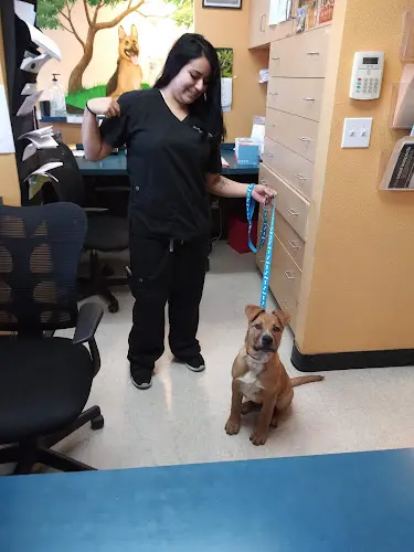 Pet vet Care Veterinary Hospital Fresno