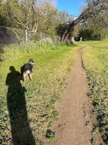 Dog Park Creekside Park Sacramento