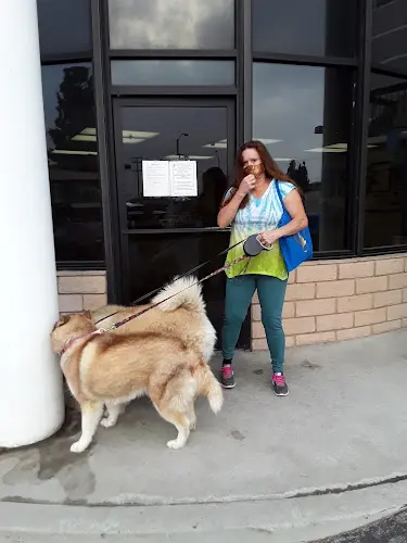 Pet vet Arcadia Small Animal Hospital Pasadena