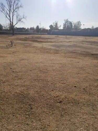 Dog Park Weill Park Bakersfield