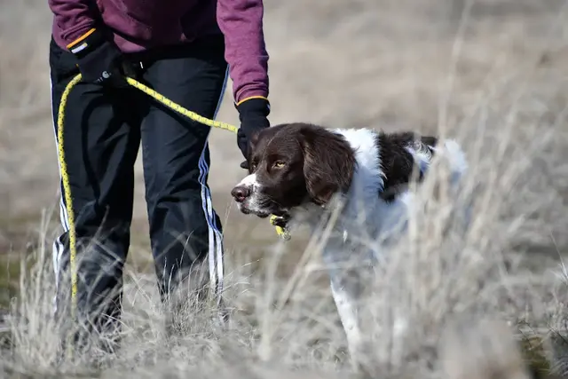 Dog breeder Dunfur Kennel Spokane