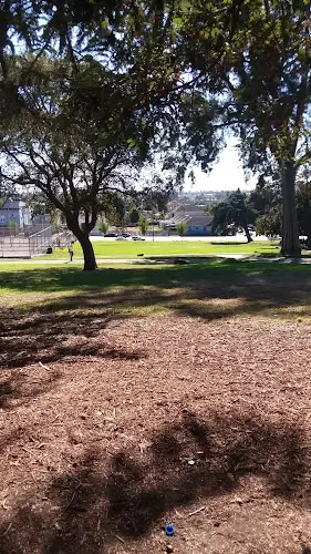 Dog Park Wilma Chan Park (formerly "Madison Park") Oakland