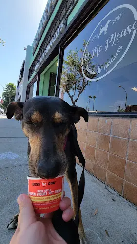 Rescue & Shelter Pet Me Please San Diego