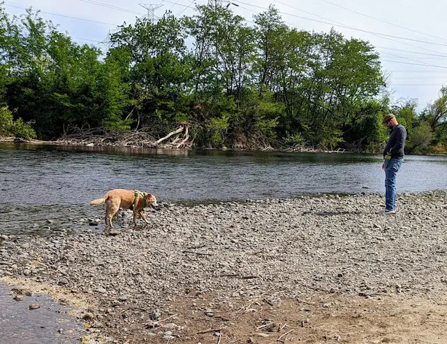 Dog Park Paradise Beach Sacramento