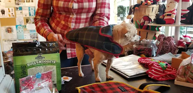 Pet boarding service George Santa Barbara