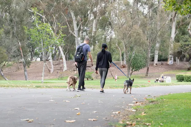 Dog Park Secret Garden in Central Park Huntington Beach