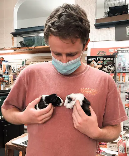 Pet vet The Animal Connection San Francisco