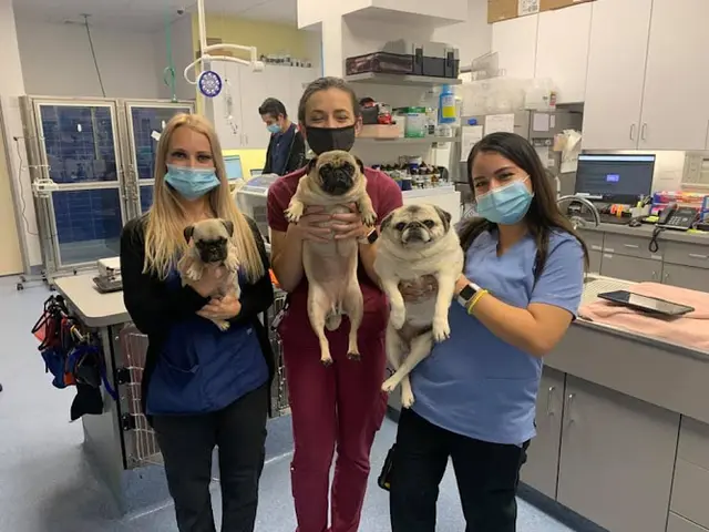 Pet vet Corona Animal Emergency Center Jurupa Valley