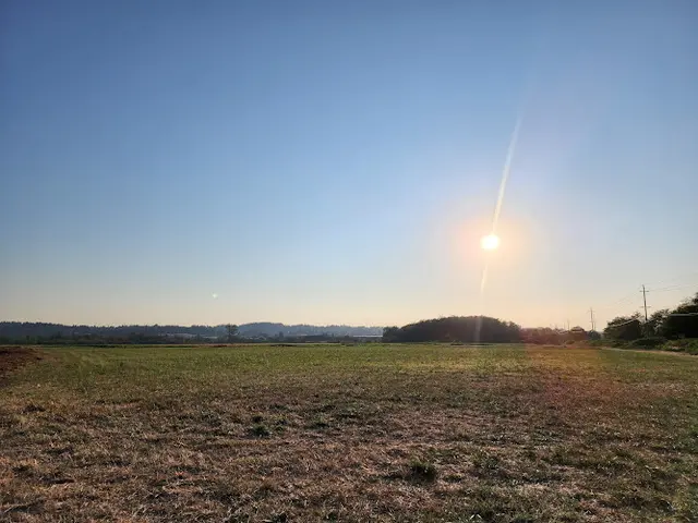 Dog Park Snoqualmie Wildlife Area Ebey Island West Parking Access Everett