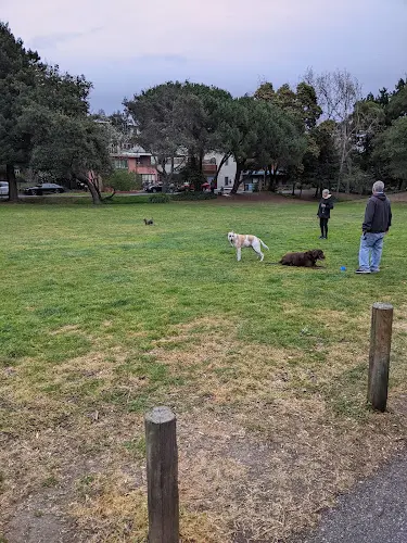 Dog Park Strawberry Creek Park Berkeley