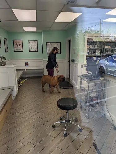 Dog day care center San Jose Animal Hospital, A Thrive Pet Healthcare Partner San Jose
