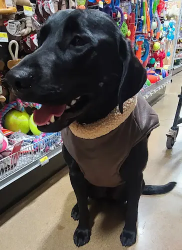 Dog Grooming Wilco Farm Store Beaverton