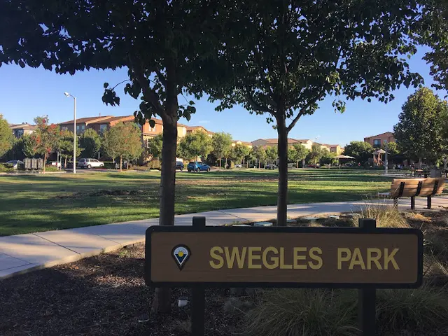 Dog Park Swegles Park Sunnyvale