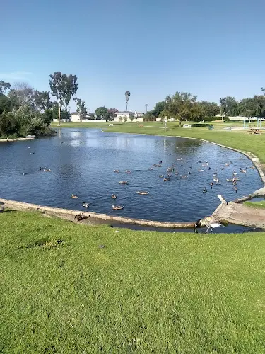 Dog Park Carr Park Huntington Beach