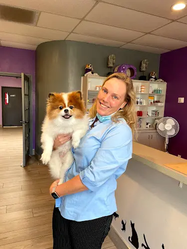 Pet vet Purple Paws Pet Clinic Chula Vista