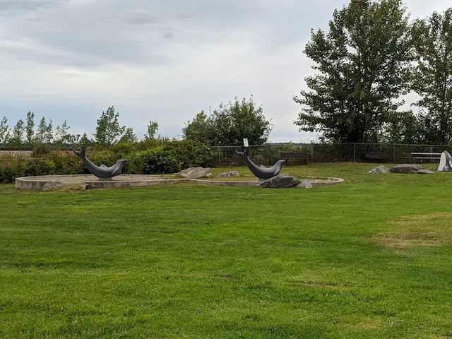 Dog Park Nulbay Park Anchorage