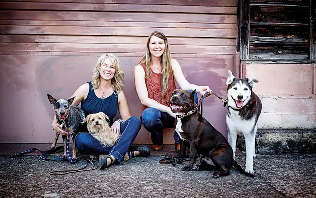 Dog trainer Training Spot Eugene