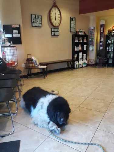 Pet vet Harbor Pines Veterinary Center Carson