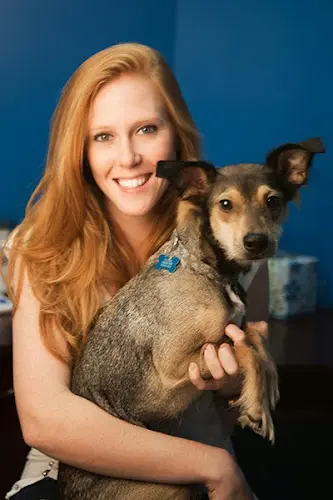 Pet vet Hancock Park Veterinary Clinic Los Angeles