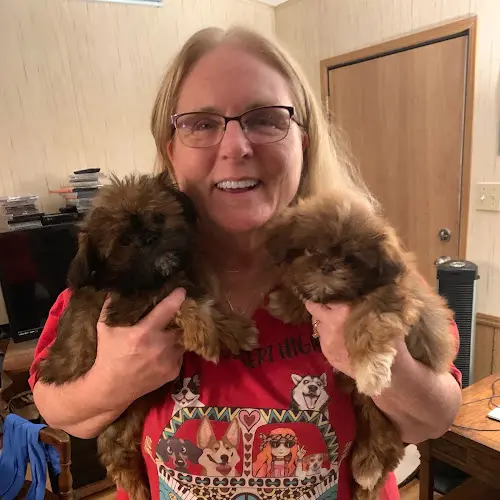 Dog breeder Camano Puppy Love Everett