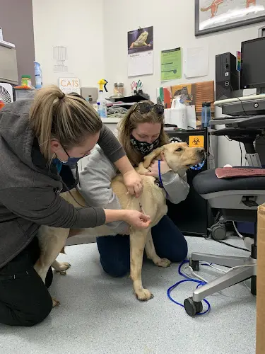 Pet vet Alaska SPCA Clinic Anchorage