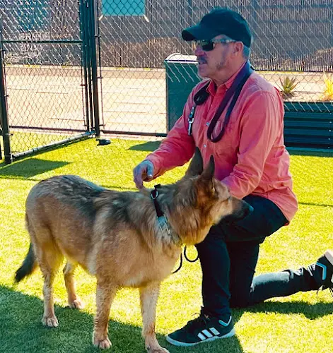 Rescue & Shelter Paws For Life K9 Rescue Thousand Oaks
