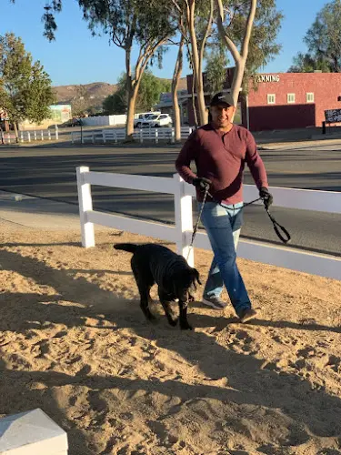 Pet vet SoCal Equine Hospital Jurupa Valley