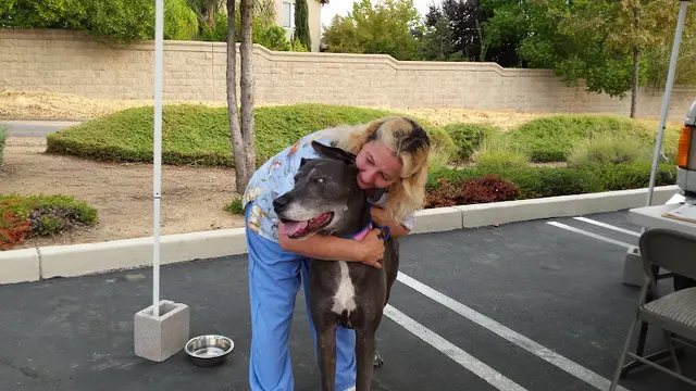 Dog day care center The Natural Pet Tooth Fairy Vacaville