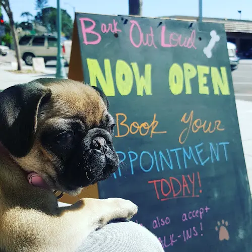 Pet boarding service Bark Out Loud San Diego