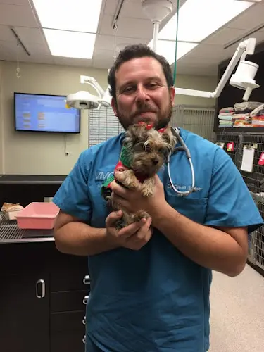 Pet vet Veterinary Medical Center Burbank