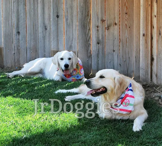 Dog breeder JRdoggies Golden Retrievers Victorville