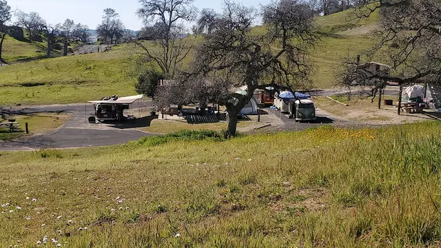 Dog Park Millerton Lake State Recreation Area Clovis