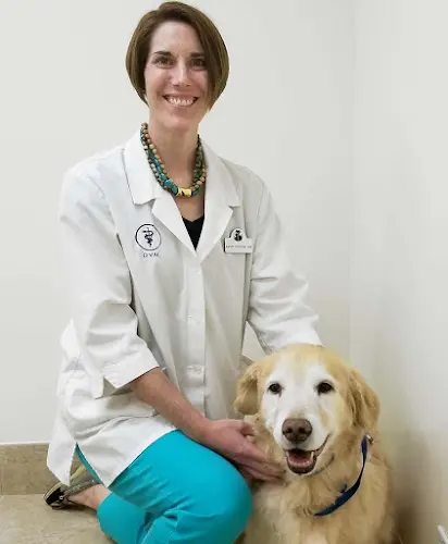 Pet vet Animal Hospital of Palo Alto (AHOPA) Sunnyvale
