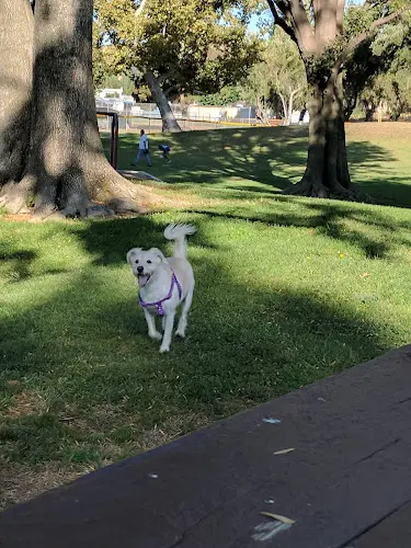 Dog Park Houghton Schreiber Park Simi Valley