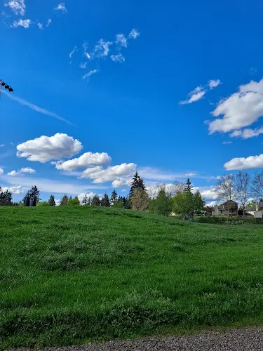Dog Park Burton Fields Vancouver