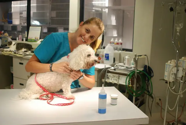 Dog walker Sunnycrest Animal Care Center Fullerton