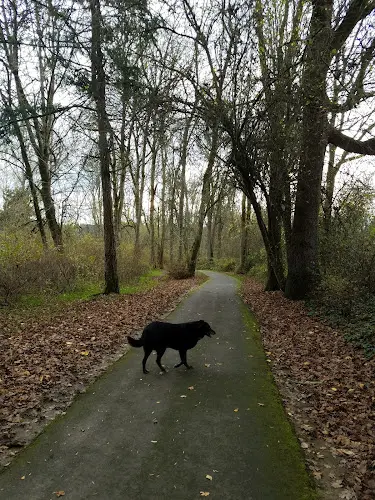 Dog Park Hazeldale Park Hillsboro