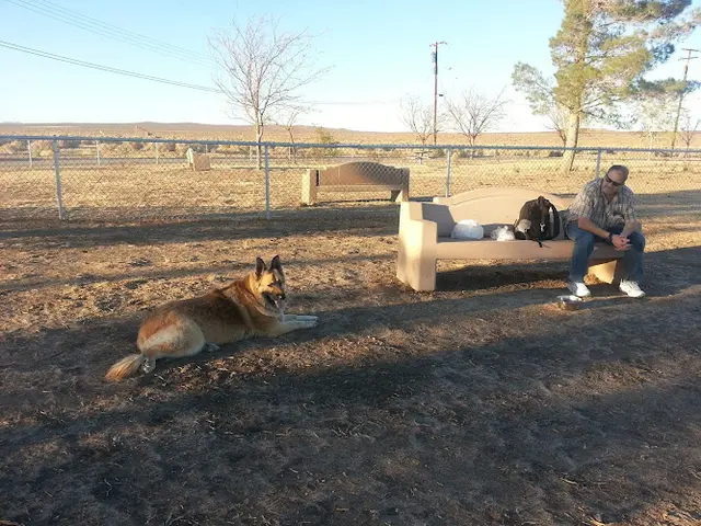 Dog Park Edwards Bark Park Dog Park Lancaster
