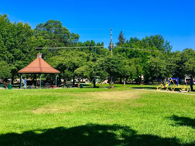 Dog Park Belle Cooledge Park Sacramento