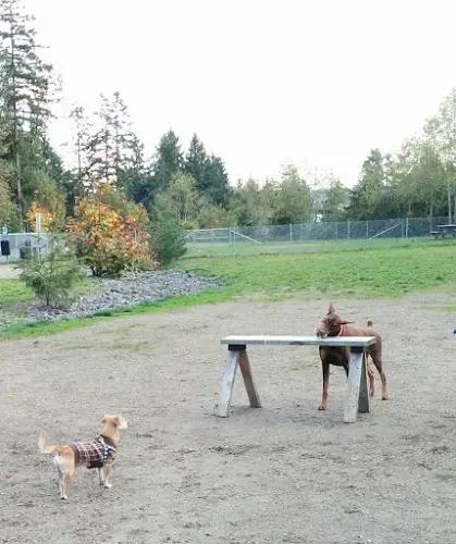 Dog Park Tubby's Trail Dog Park Tacoma