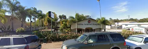 Pet vet Aloha Animal Hospital: Nostrand Rebecca DVM Oceanside