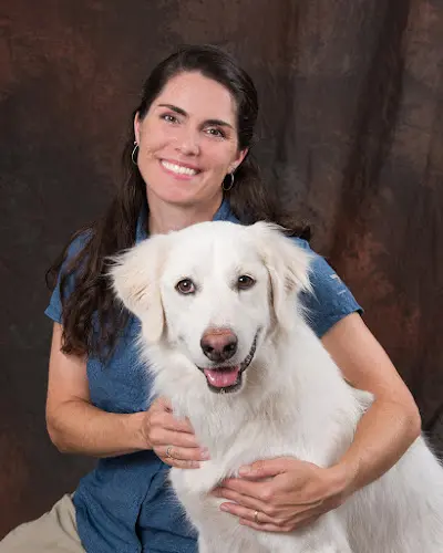 Pet vet BarburVet Portland