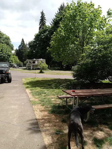 Dog Park Armitage Park Eugene