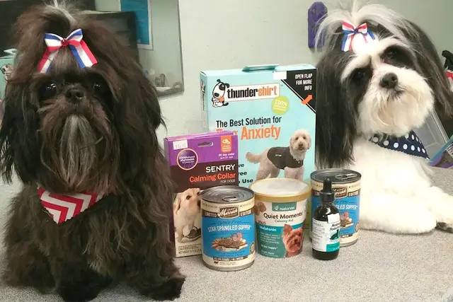 Dog Grooming Beastie Boutique, LLC Beaverton