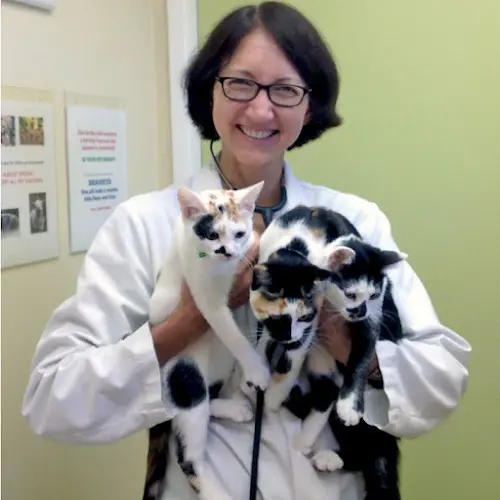 Pet vet The Family Pet Veterinary Hospital Kirkland