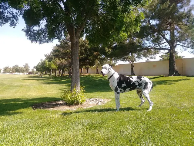 Dog Park Eagle Ranch Park Victorville