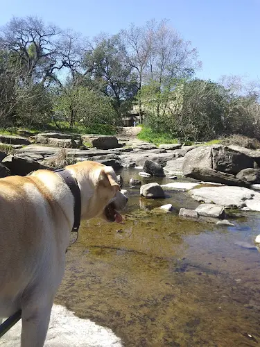 Dog Park 4th & Farmers Creek Trail Santa Rosa