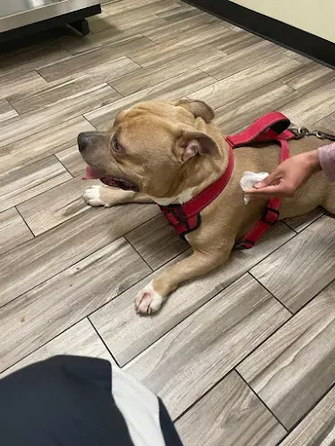 Pet vet Animal Care Center Sacramento